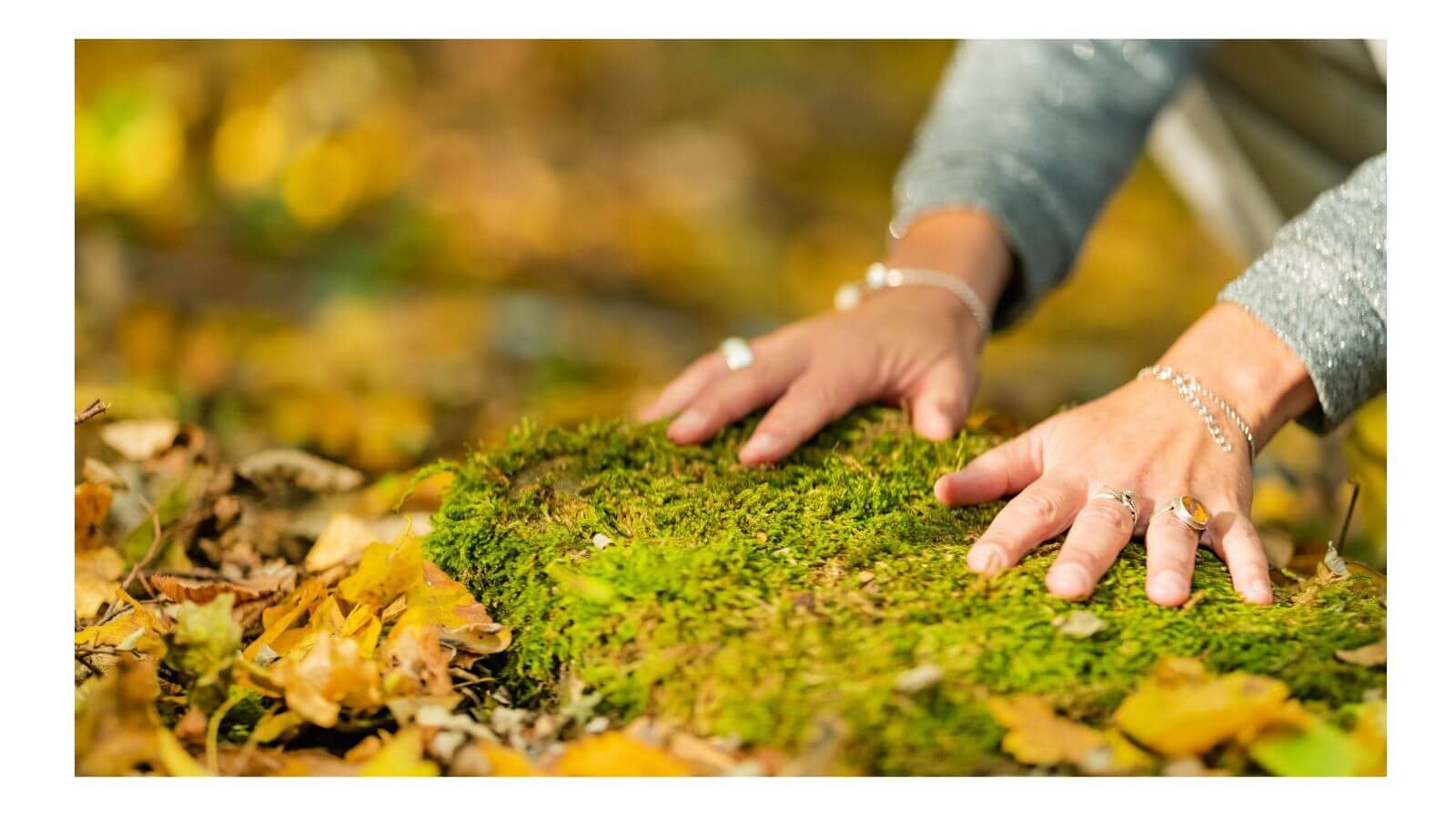 how to create wellness each day